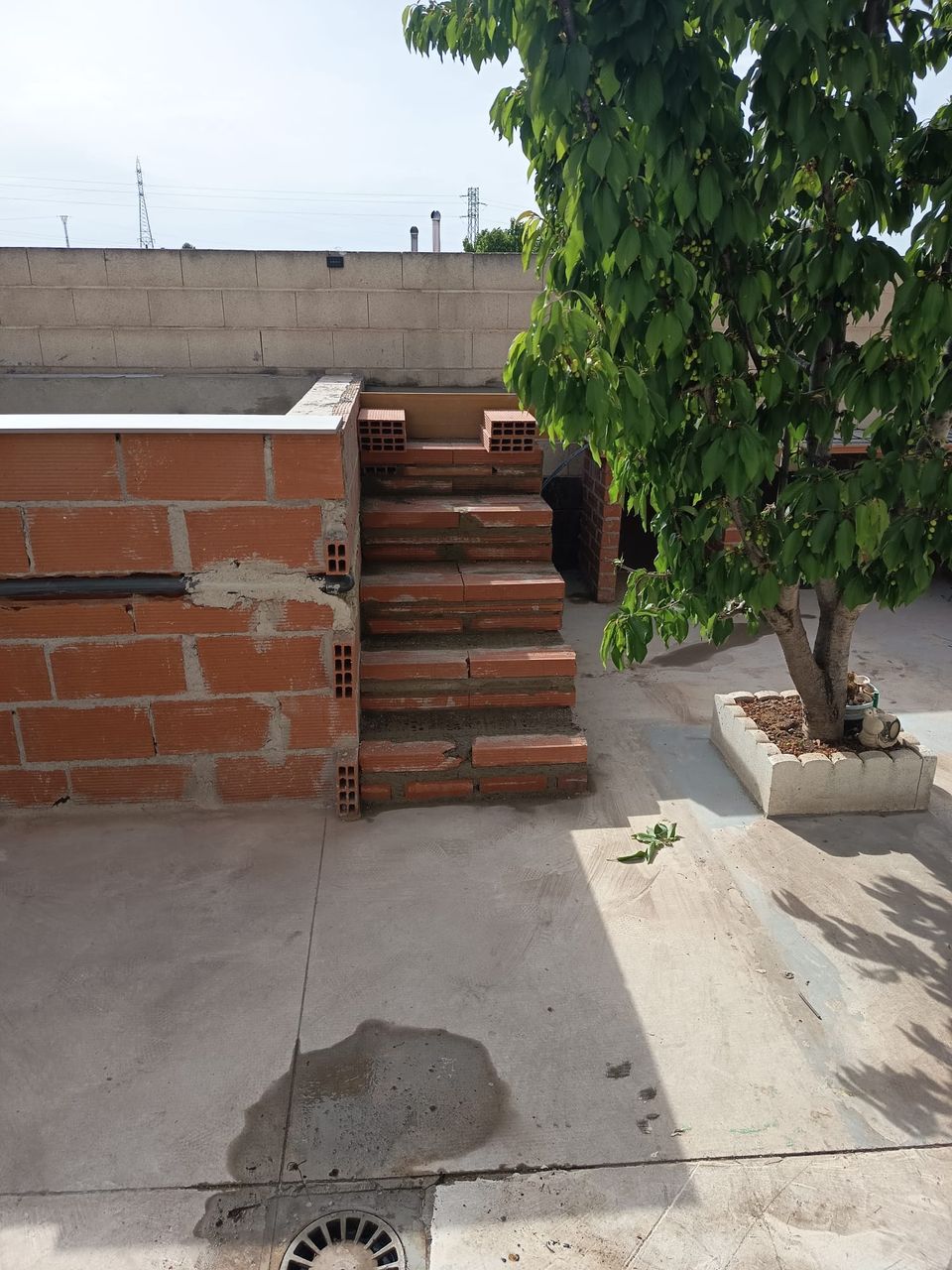 Piscina elevada en obra con los muros de ladrillo terminados y la escalera de obra, junto al árbol del patio